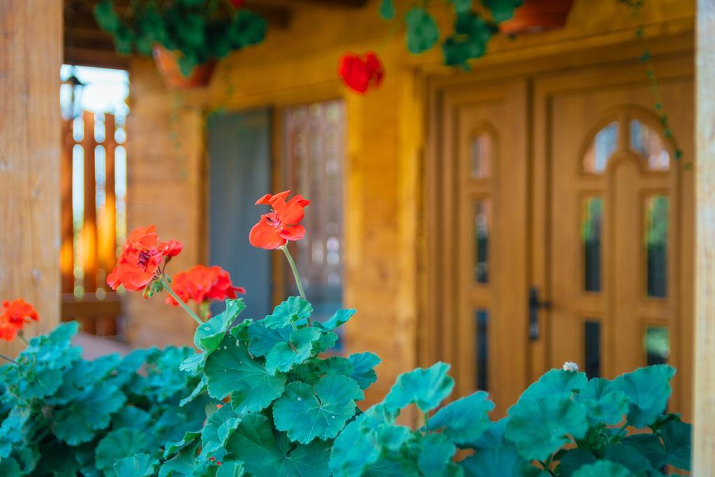 Casa Gherman Hotel Torda Kültér fotó